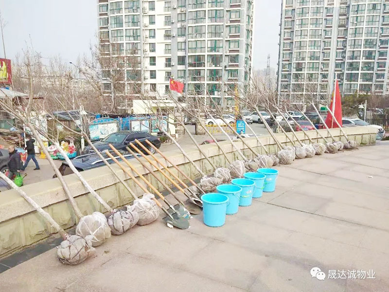 晟达诚--“种下一颗小树,收获绿色希望” 晟达诚--“种下一颗小树,收获绿色希望”