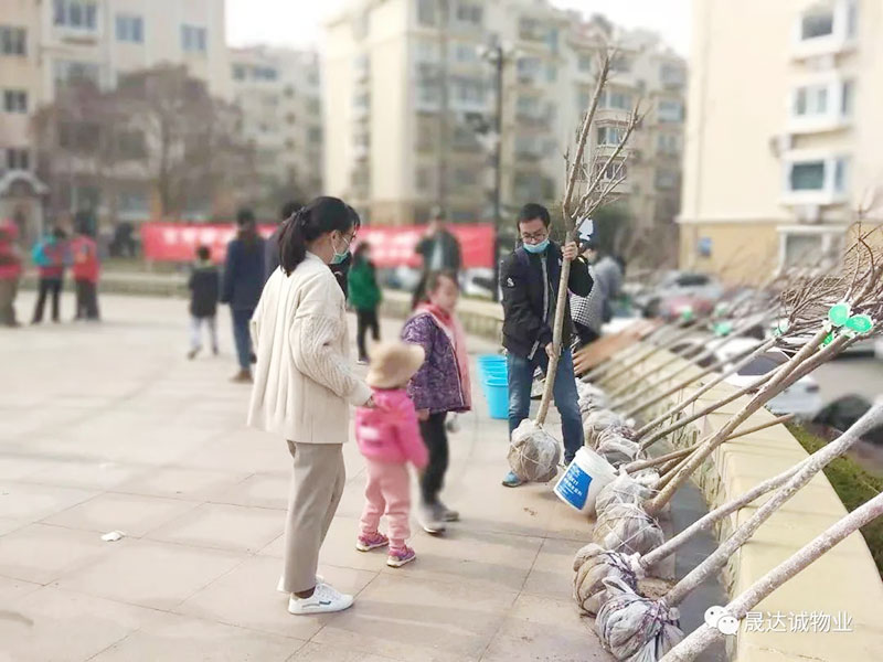 晟达诚--“种下一颗小树,收获绿色希望” 晟达诚--“种下一颗小树,收获绿色希望”